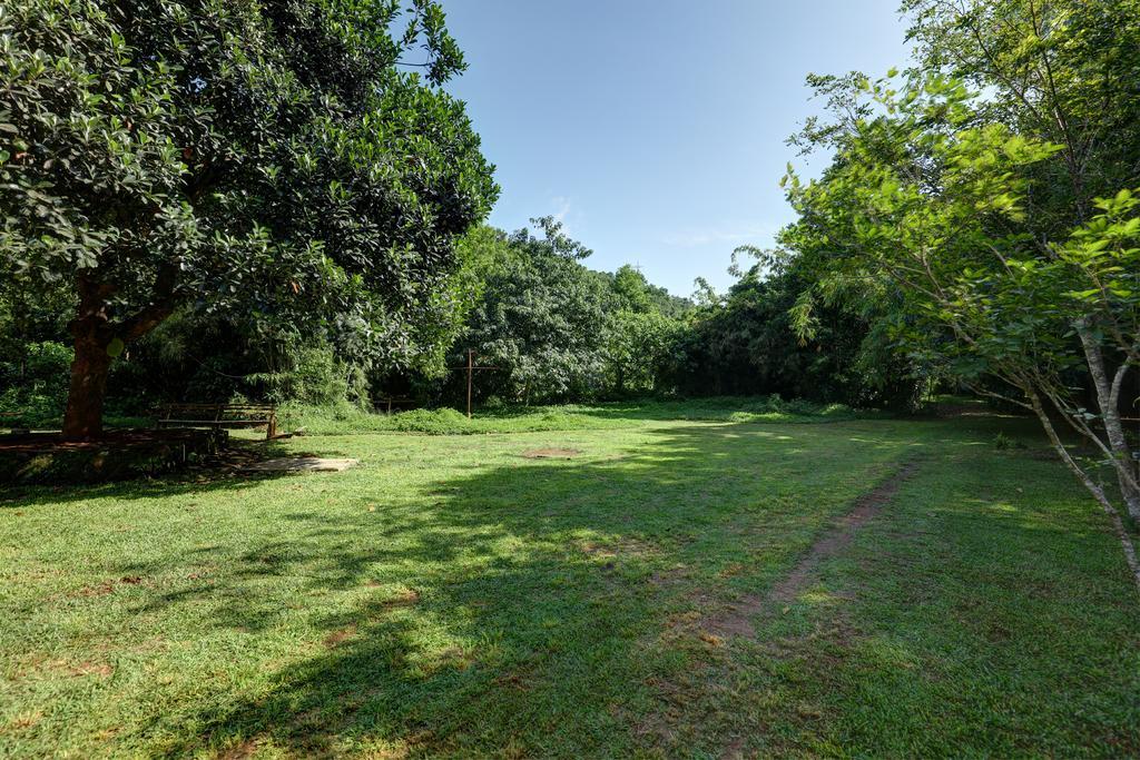 Marg Stream Valley Vythiri Εξωτερικό φωτογραφία